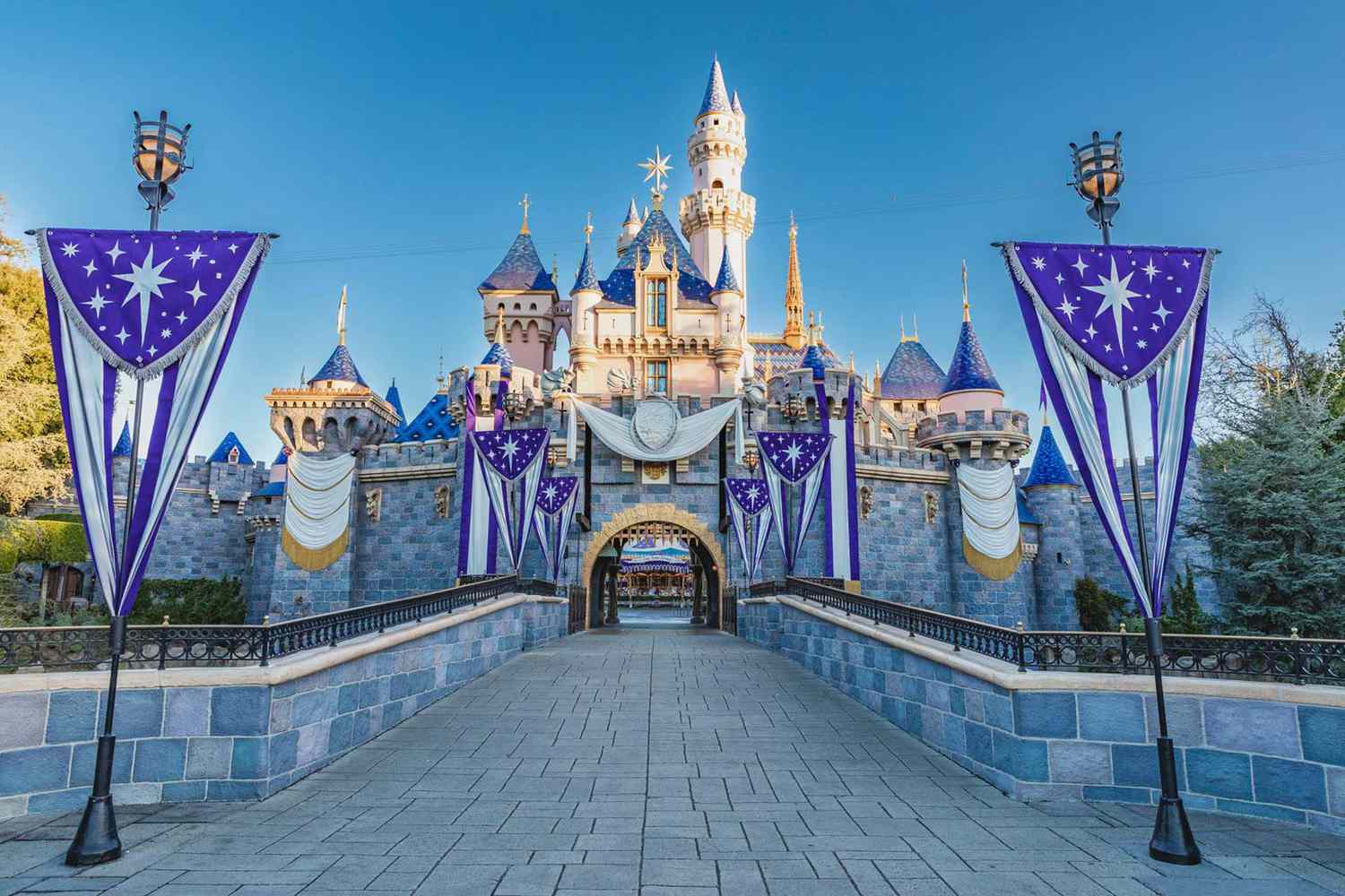 Disney castillo de día